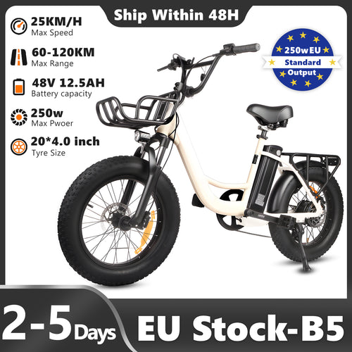SUNNIGOO B5 fat tyre electric bike with front basket, rear rack and 20x4.0 tyres