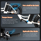 SUNNIGOO B5 hydraulic disc brake and 20x4.0 fat tyre close-up